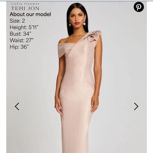 Teri Jon Formal Dress. Color is Blush Mettalic.